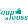 Logo of the association Coup de Pousse // renforcement de capacités des organisations sociales et solidaires